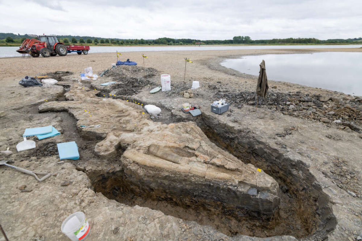 Ictiossauro gigante é um dos maiores achados fósseis do Reino Unido