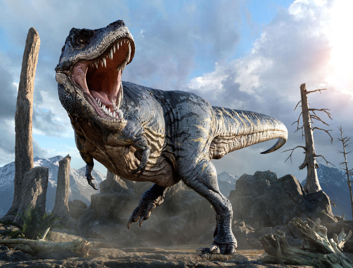 O Tyrannosaurus rex era um grande covarde, s vezes