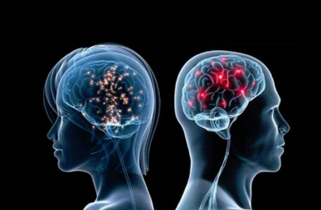 Mapa de conexes neuronais mostra que homens e mulheres tm habilidades diferentes