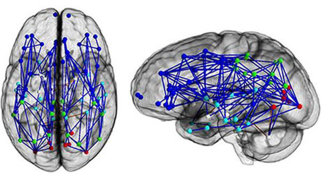 Mapa de conexes neuronais mostra que homens e mulheres tm habilidades diferentes