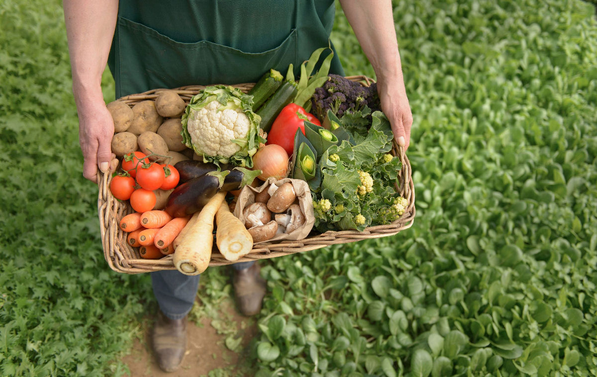 O alimento org�nico � realmente melhor ou s� coisa que colocaram na sua cabe�a?