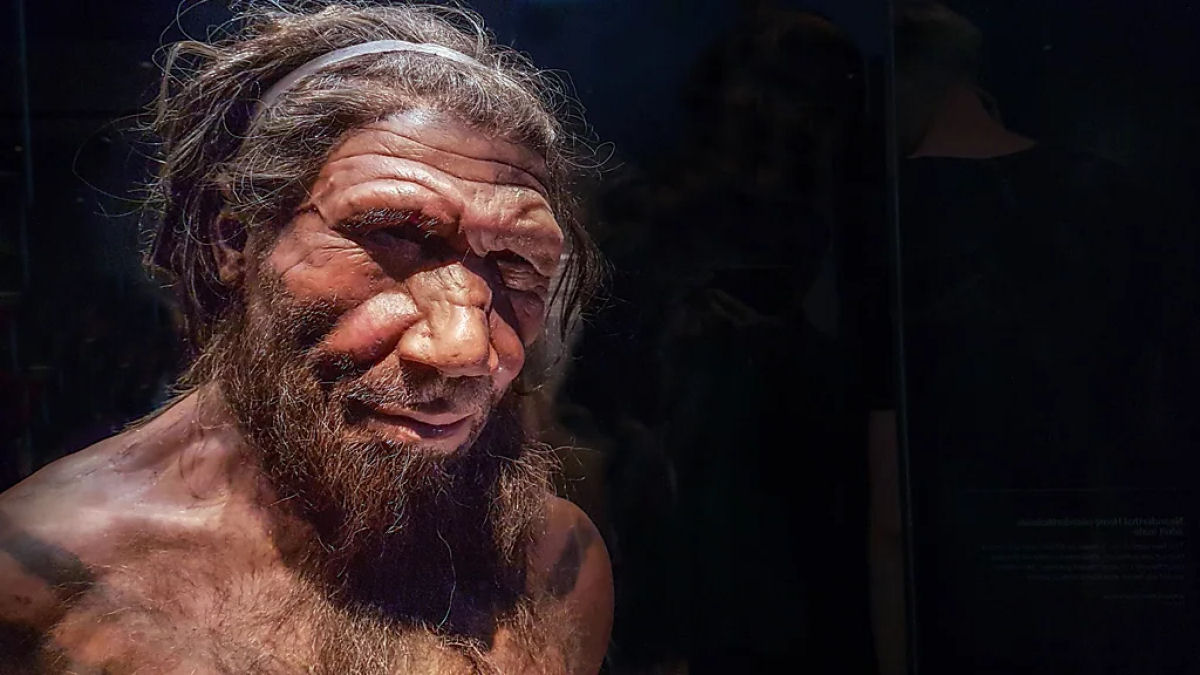 Como o sexo com os neandertais nos mudou para sempre