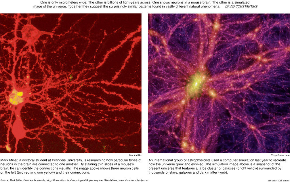 Físicos descobrem evidência de que o universo se comporta como um cérebro gigante