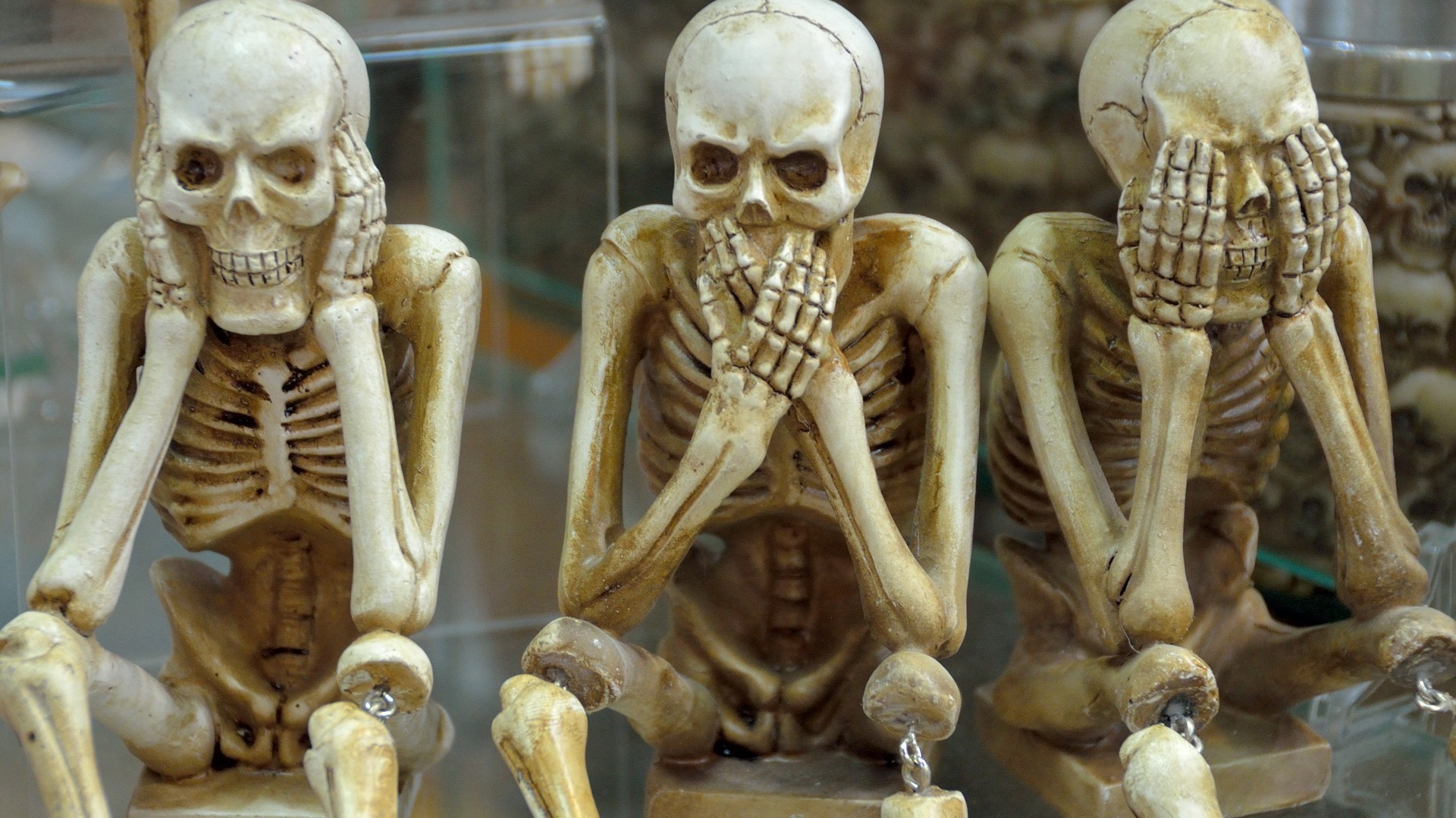 Quantos ossos existem no corpo humano?