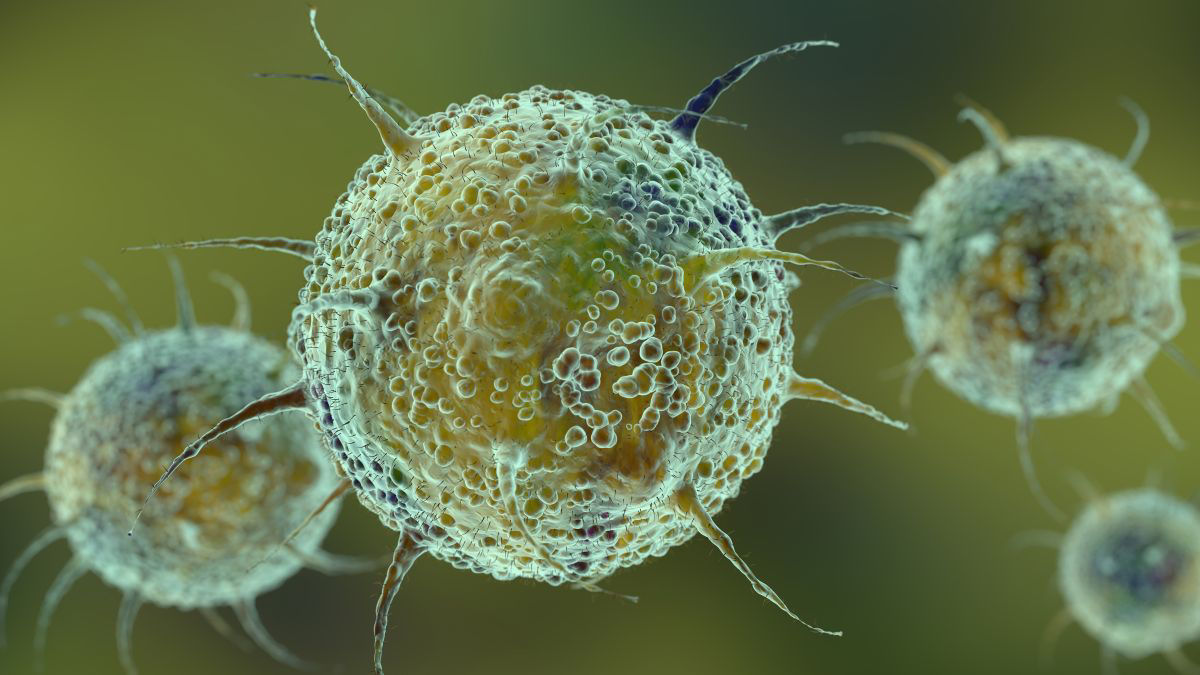 Gírus, o vírus gigante que não deveria existir