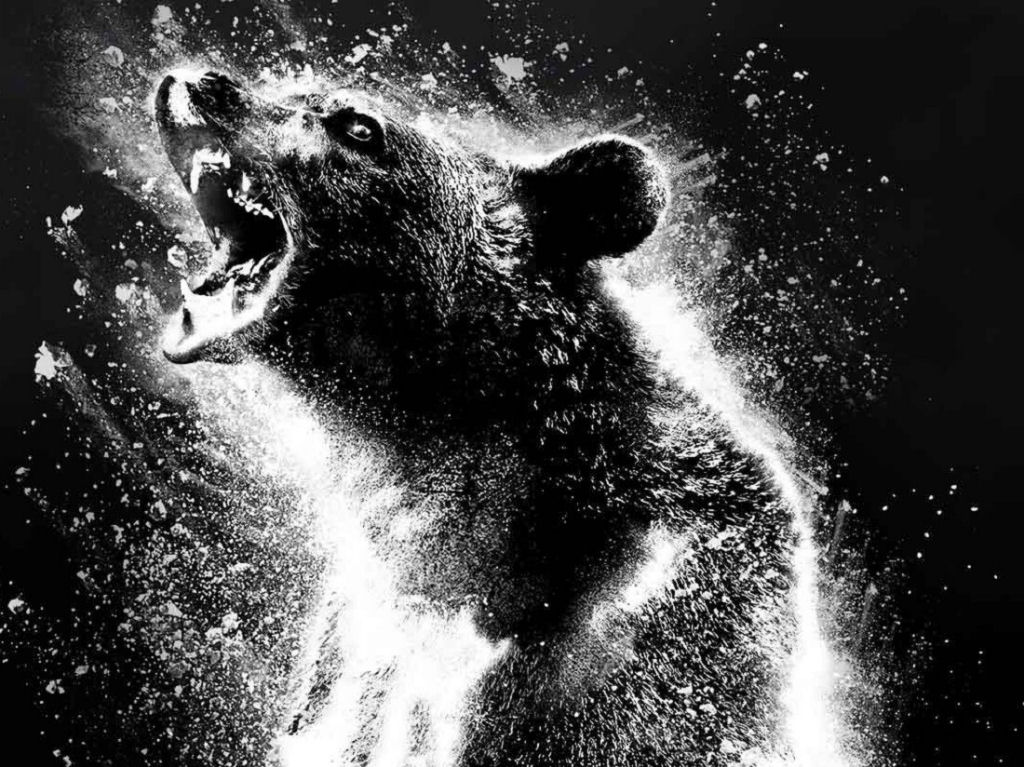A real histria do 'Cocaine Bear', o filme sobre o urso que ingeriu 34 kg de cocana antes de morrer