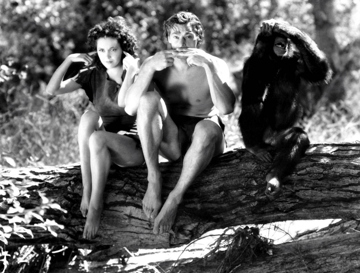 Me Tarzan, You Jane pelada