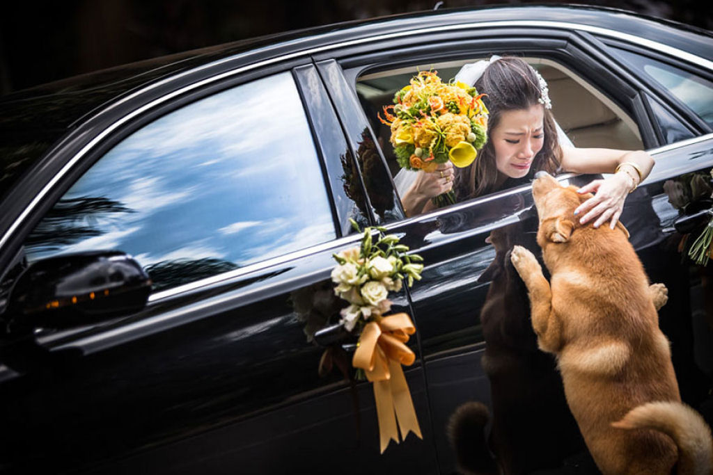 26 Fotos de casamentos premiadas feitas em 2014 07