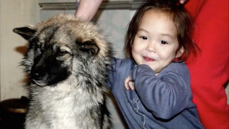 Esta menina de três anos sobreviveu onze dias depois de se perder em um bosque na Sibéria com a ajuda de seu cão