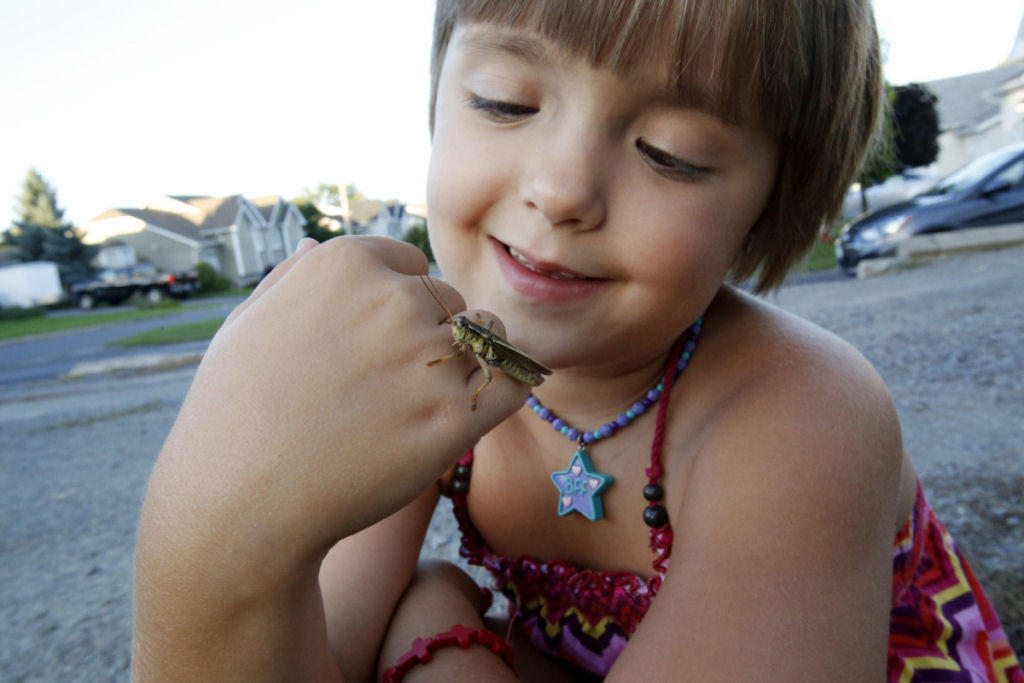 Garota de 8 anos, chamada de esquisita por gostar de insetos, acaba de publicar em uma revista cientfica