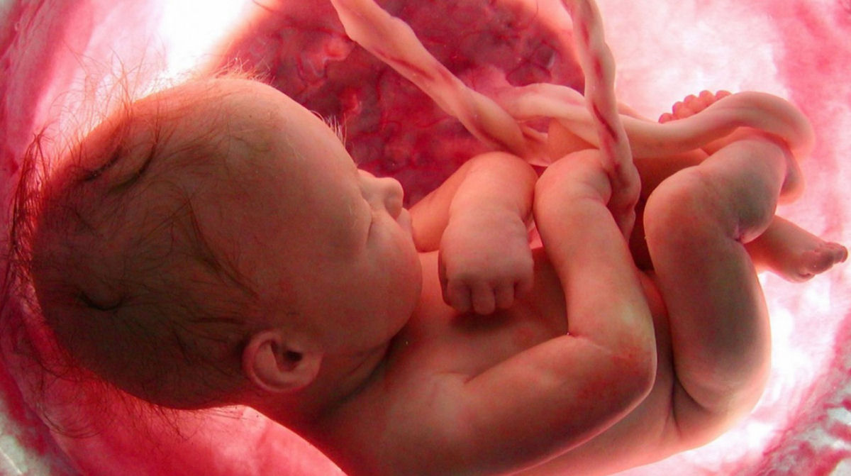 Feminista decide abortar só porque seu futuro filho seria homem