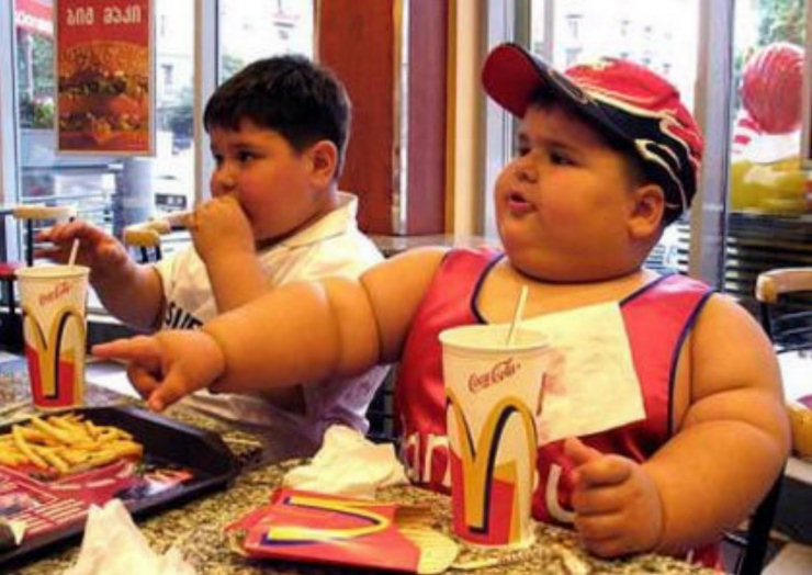 Estudo indica que obesidade  culpa das mes