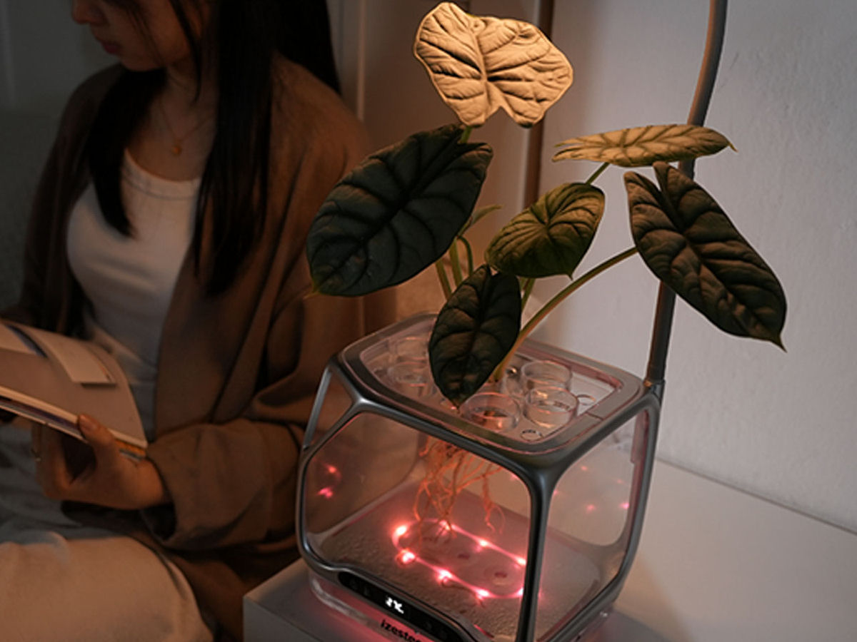 Vaso aerop�nico permite o cultivo de plantas no ar, sem terra ou �gua