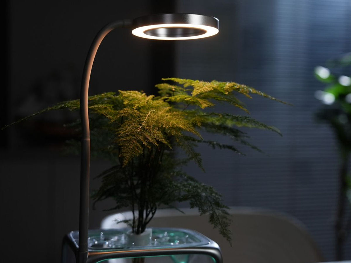 Vaso aerop�nico permite o cultivo de plantas no ar, sem terra ou �gua