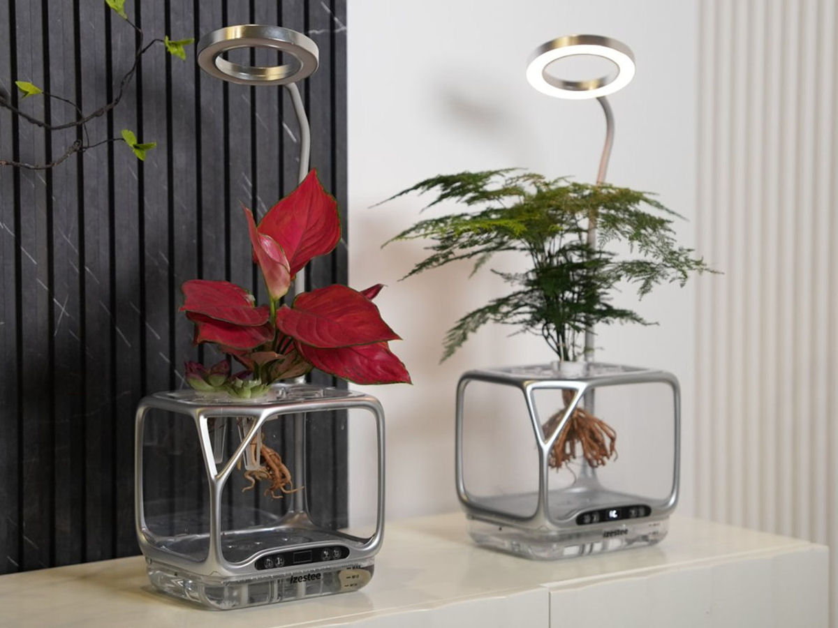 Vaso aerop�nico permite o cultivo de plantas no ar, sem terra ou �gua