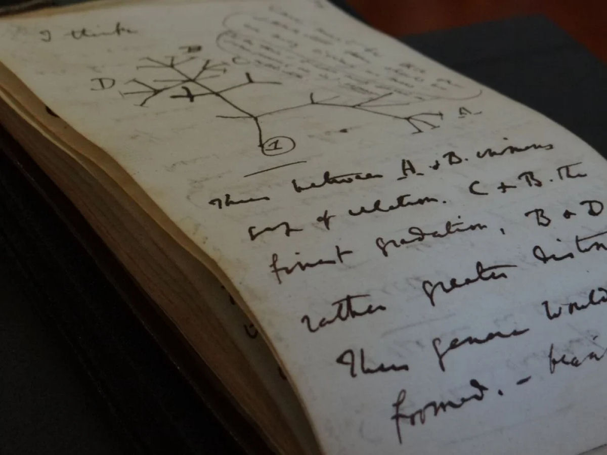 Cadernos roubados de Charles Darwin são devolvidos após 22 anos