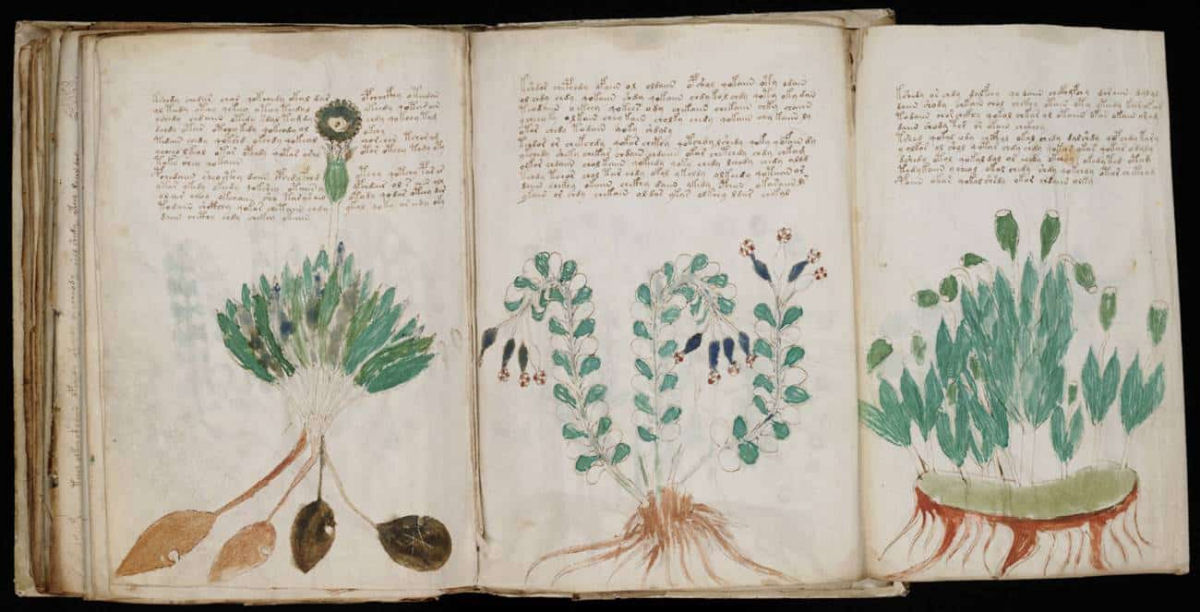 Cdice Voynich, o livro mais misterioso do mundo