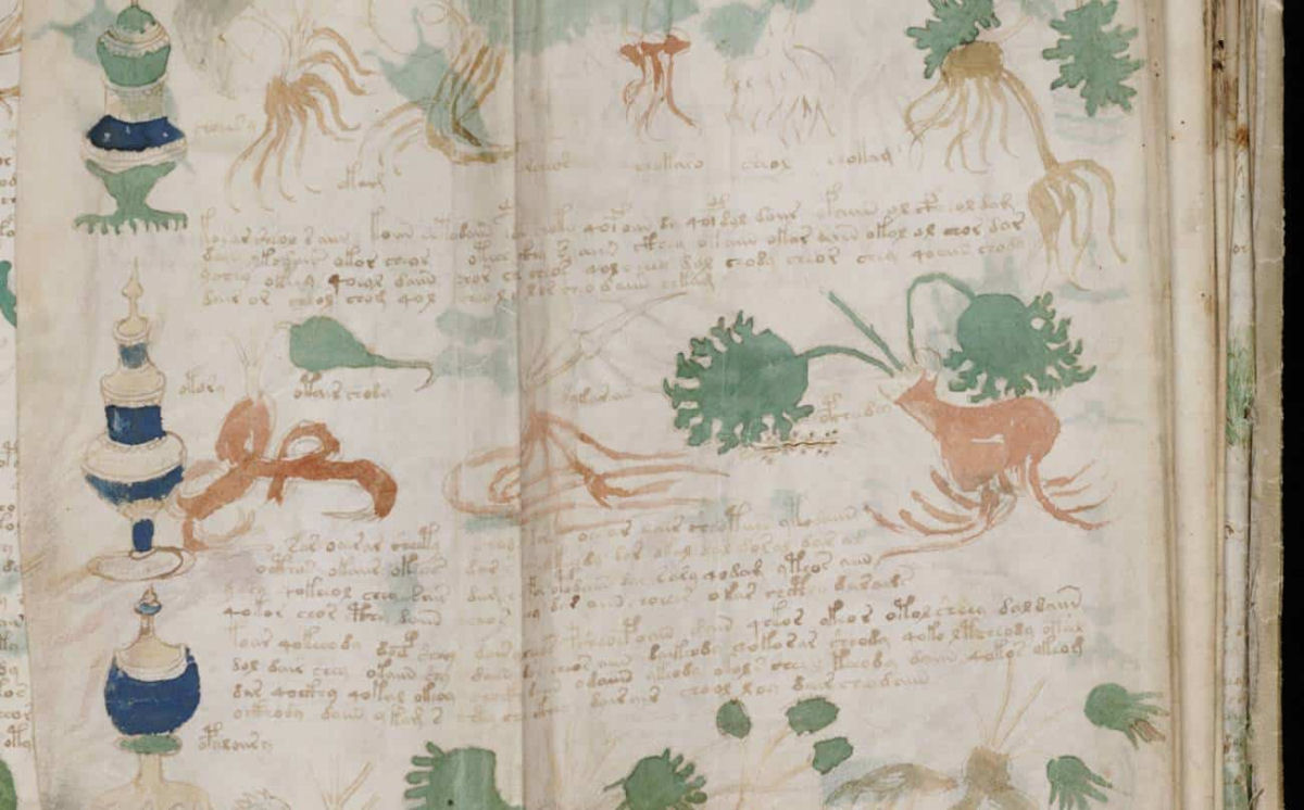 Cdice Voynich, o livro mais misterioso do mundo