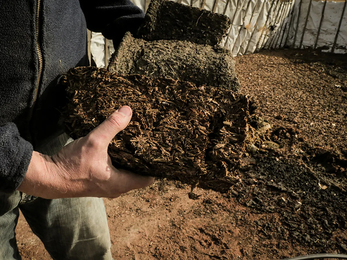 Argentino transforma resíduos de frutas em lenha e carvão ecologicamente corretos