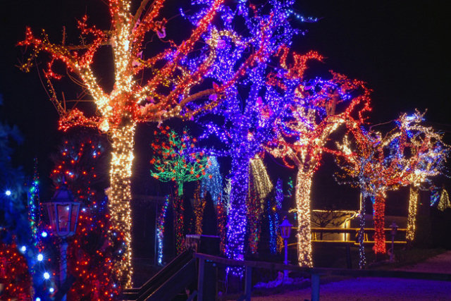 Croata faz decorao com 1,2 milhes de luzes de Natal