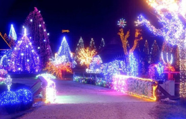 Croata faz decorao com 1,2 milhes de luzes de Natal