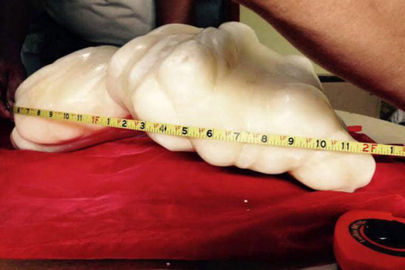 Um pescador encontra uma pérola de 34 kg avaliada em 100 milhões e guarda debaixo de sua cama