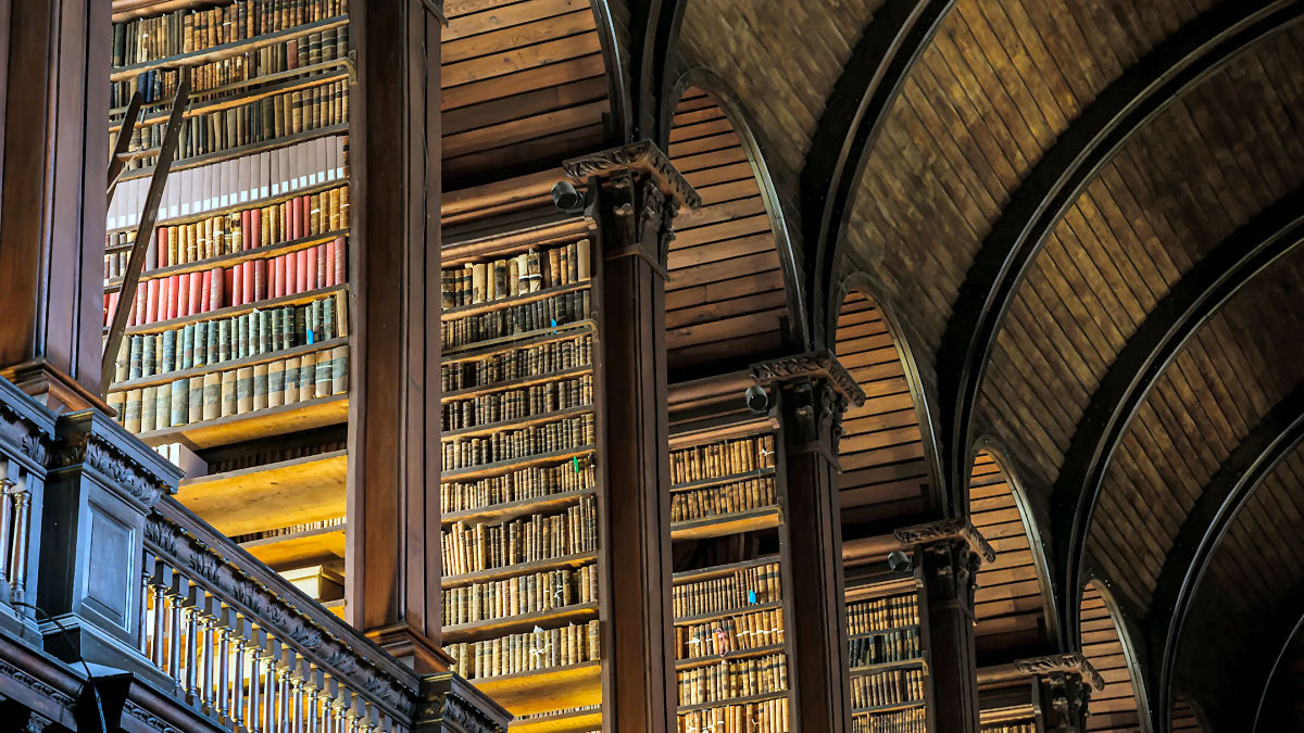 A biblioteca mais antiga da Hungria corre para resgatar livros de besouros famintos