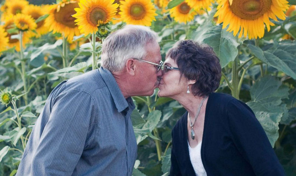 Homem plantou mais de 100 hectares de girassóis para homenagear esposa que morreu de câncer 01