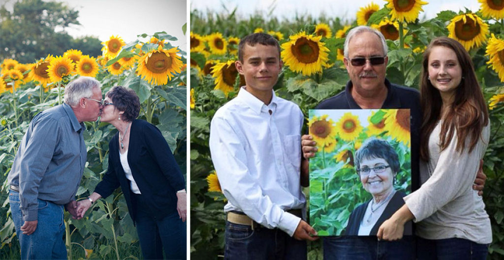 Homem plantou mais de 100 hectares de girassóis para homenagear esposa que morreu de câncer 07