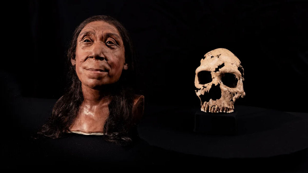 Cientistas revelam rosto de uma neandertal que viveu h 75 mil anos