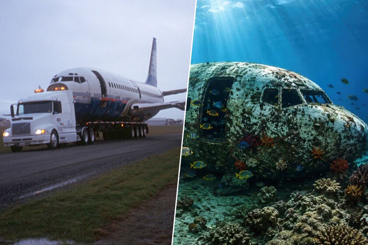Boeing 737 jogado no Pacífico em 2006 se transformou em um impressionante recife artificial