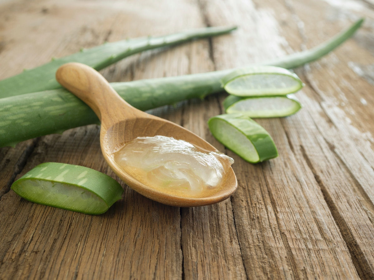 A babosa realmente cura queimaduras solares?