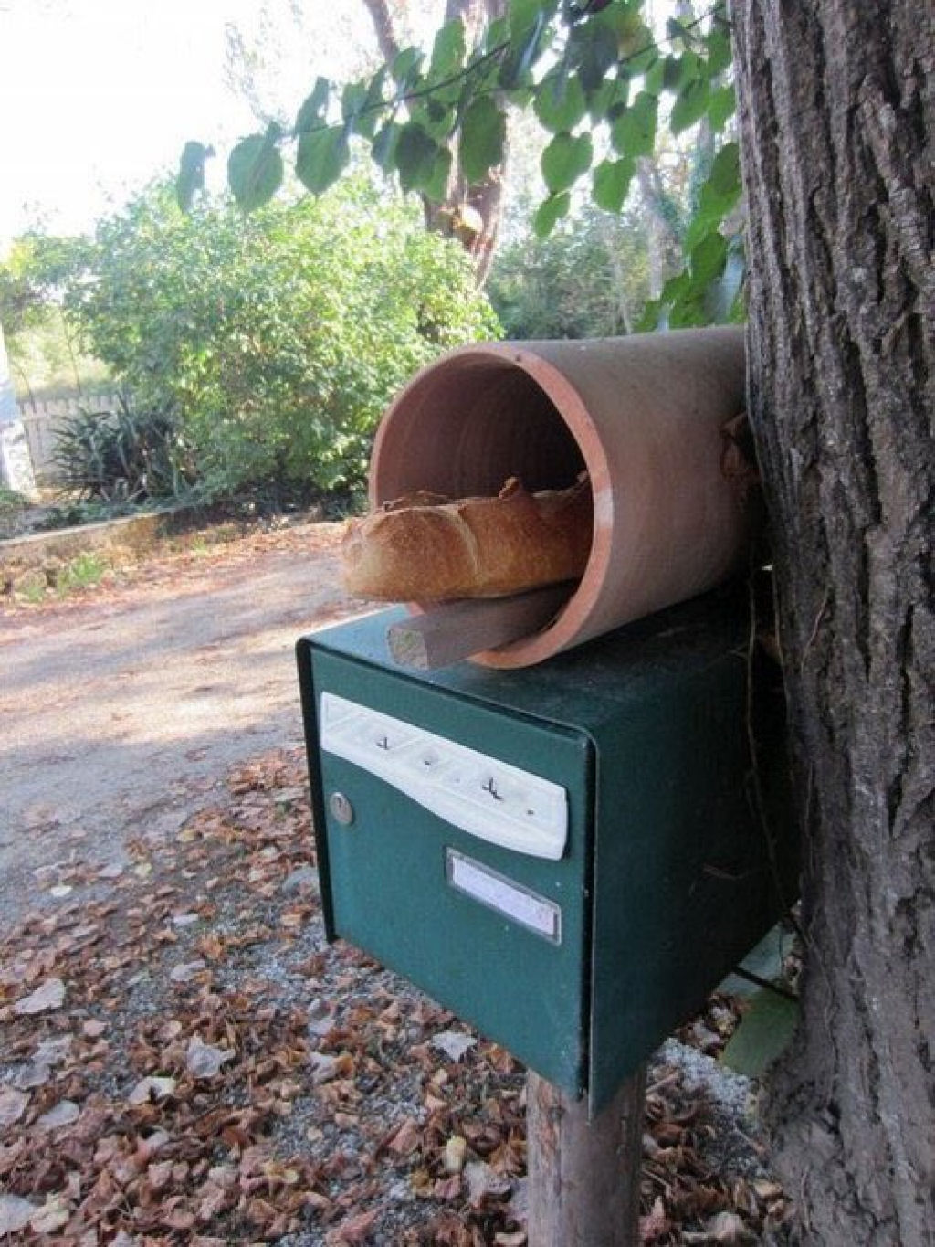 As antigas caixas de correio de baguetes da Polinsia Francesa