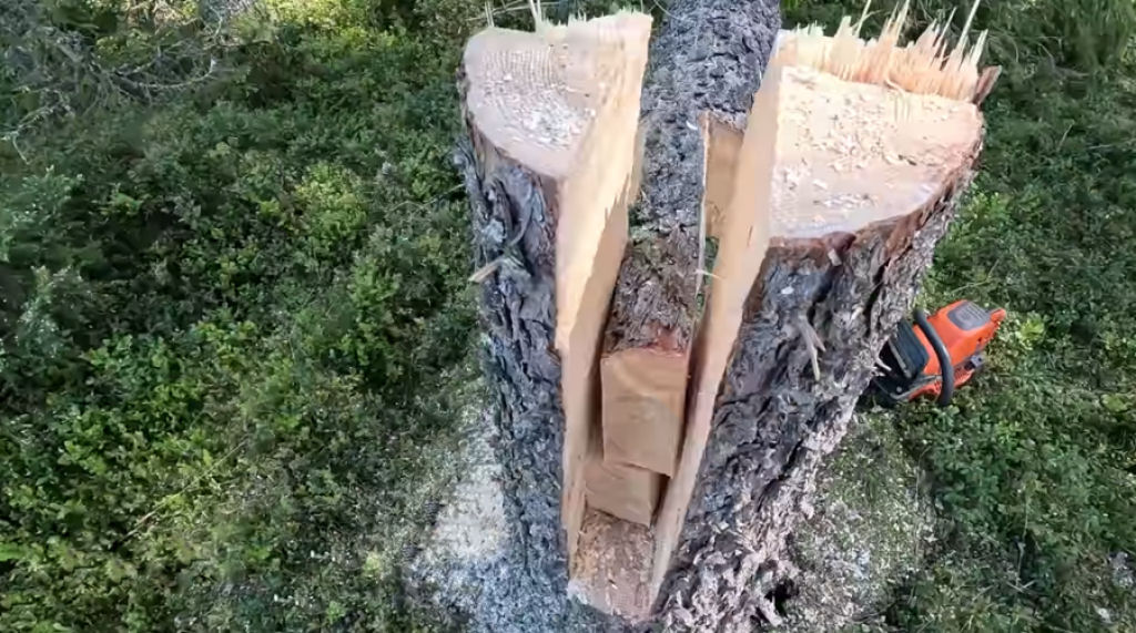 A tcnica de chaveta, o mtodo definitivo para derrubar rvores