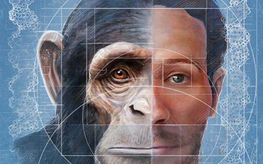 O cientista soviético que tentou cruzar chimpanzés com humanos