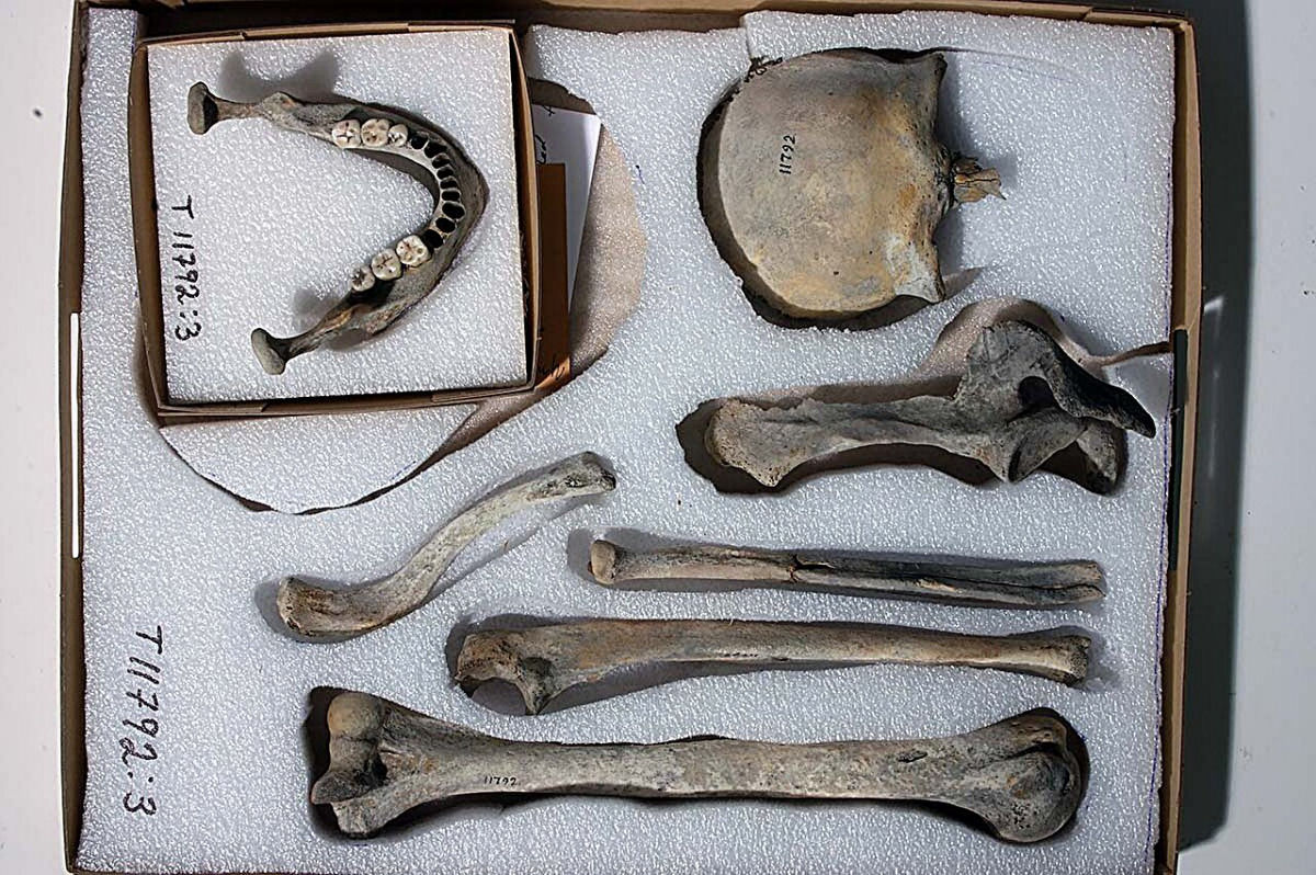 Pesquisadores reconstroem a aparncia de um caador-coletor noruegus de 4.000 anos atrs