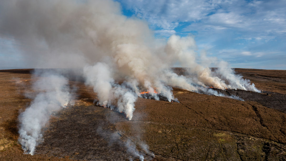 Por que incendios zumbis podem causar grandes estragos?