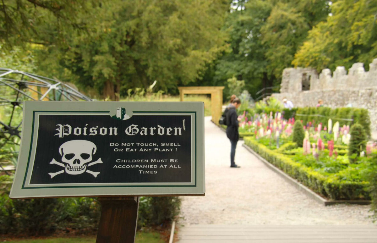 Bem-vindo ao Poison Garden, o jardim mais venenoso do planeta: qualquer planta pode mat-lo
