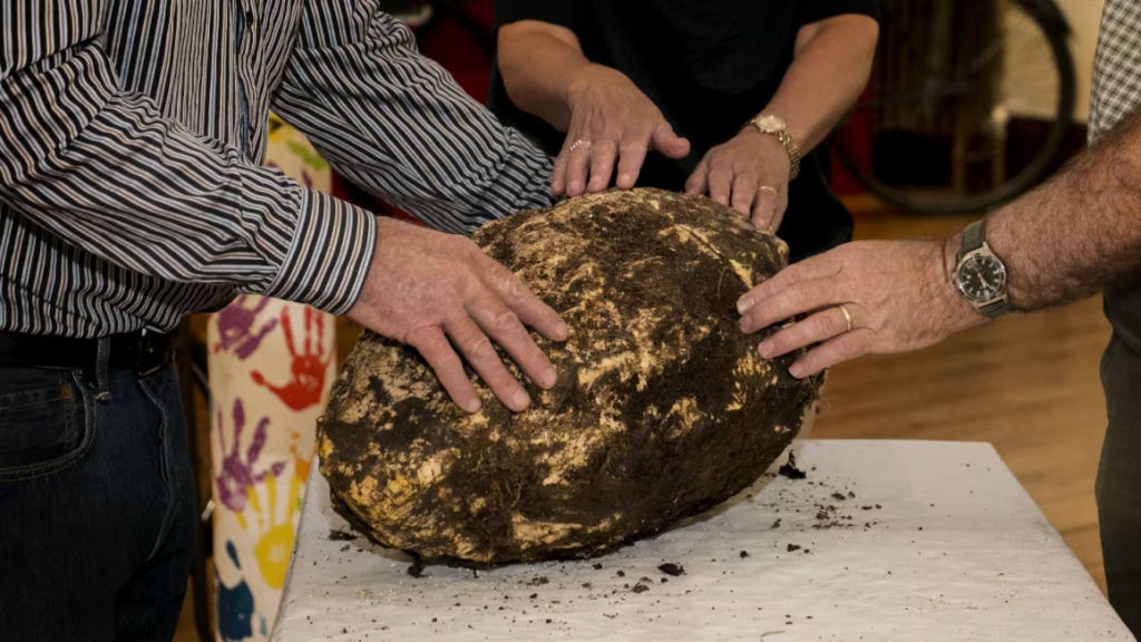 Manteiga de pântano irlandesa comprovadamente está '3500 anos' além da data de validade