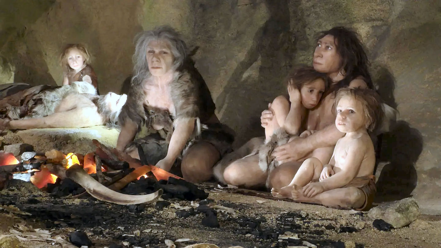 Neandertais cuidaram de criana de 6 anos com sndrome de Down, revela descoberta de fssil