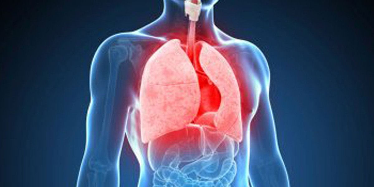 A jornada surpreendentemente complexa do oxignio pelo corpo humano