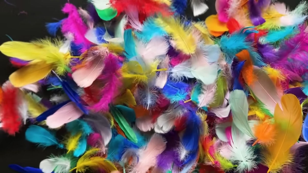 Por que n�o existem penas falsas?