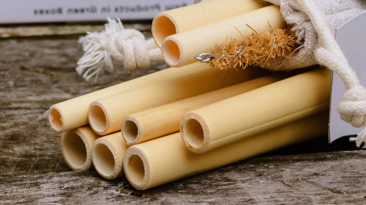O bambu pode substituir o papel e o plstico?