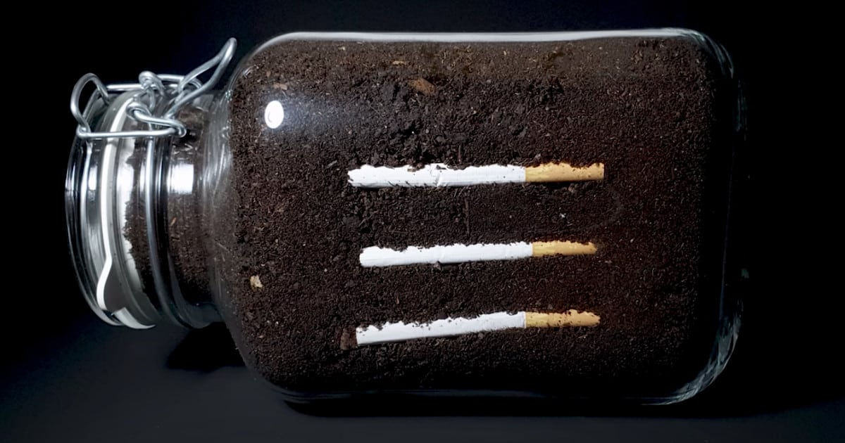 Time-lapse hipnótico mostra o que acontece com os cigarros no solo por um ano