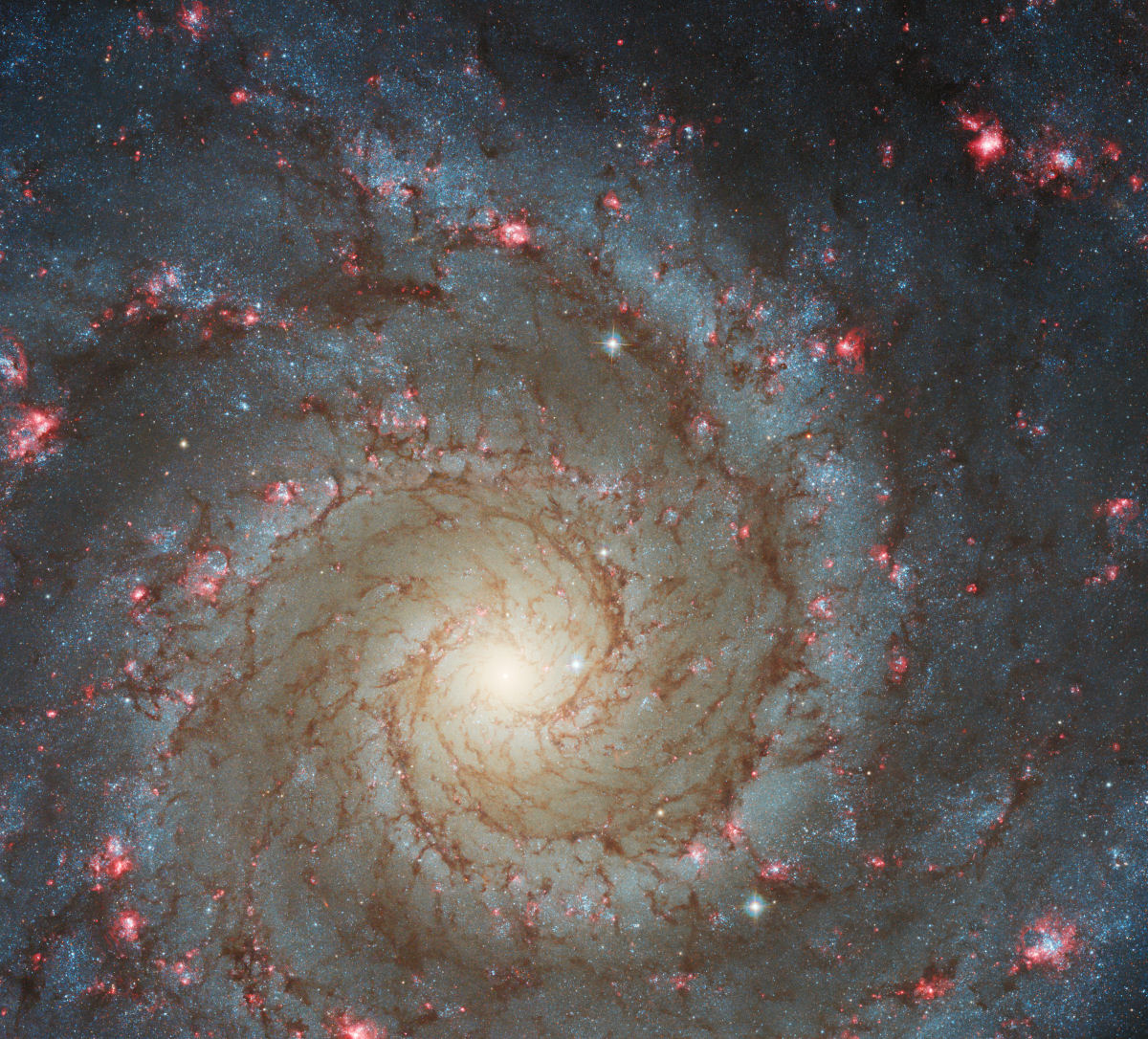Telescópio Webb captura a incrível beleza da galáxia fantasma