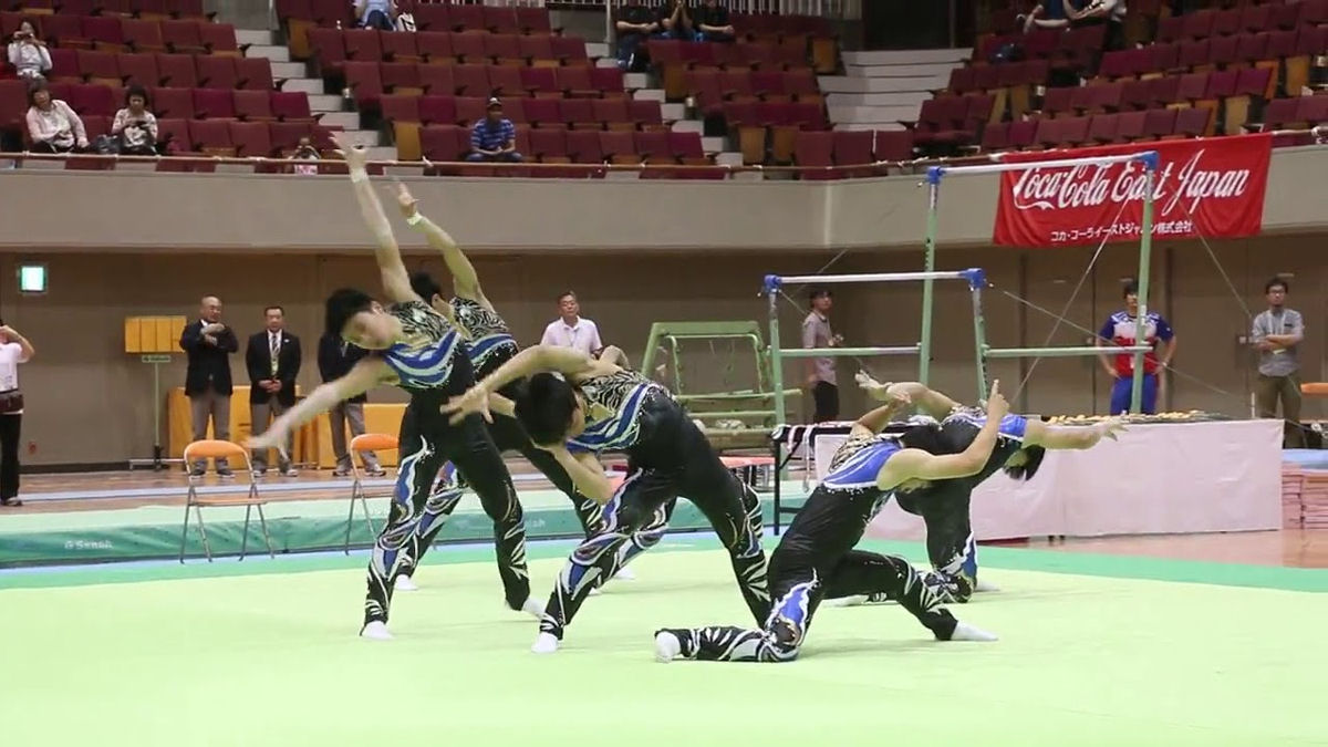 É uma verdadeira pena que a ginástica rítmica masculina não seja um esporte olímpico