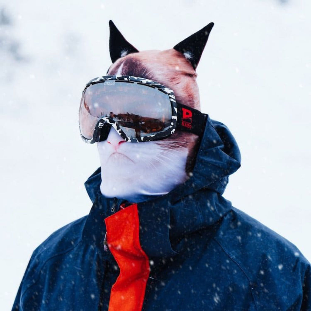Estas mscaras realistas de esqui permitem que voc libere o animal que existe em voc 16