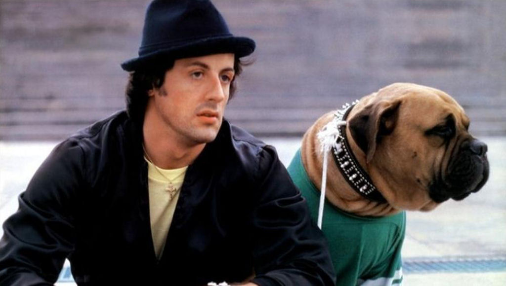 A comovente histria de  Stallone e seu co Butkus antes de triunfar com 'Rocky'