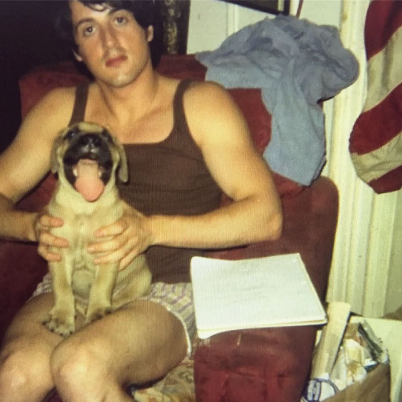 A comovente histria de  Stallone e seu co Butkus antes de triunfar com 'Rocky'