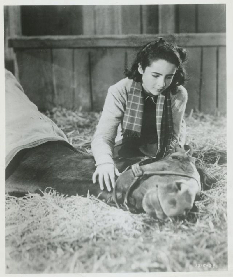 Belas fotos da adolescente Elizabeth Taylor durante as filmagens de 'A Mocidade  Assim Mesmo' de 1944 03
